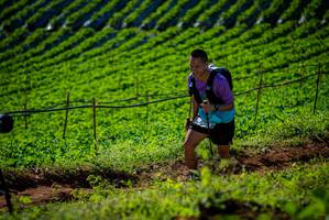 BIB: 
                            <button type="button" onclick="openModal(19160919)" class="btn btn-primary btn-sm float-right btn-popup" data-toggle="modal" data-target=".modal-high-quality">
                        <i class="fas fa-shopping-cart"></i> Add to Cart
                    </button>
                                            <button type="button" onclick="isThisMe(19160919, true)" class="btn btn-success btn-sm float-right btn-popup btn-isme hidden" data-toggle="tooltip" data-placement="bottom" title="นี่คือรูปของคุณใช่ไหม คลิกที่นี่เพื่อเอาเข้าอัลบั้ม">
                        <i class="fas fa-plus"></i> Add to album
                    </button>
                    <button type="button" onclick="isThisMe(19160919, false)" class="btn btn-warning btn-sm float-right btn-popup btn-isnotme hidden">
                        <i class="fas fa-ban"></i> Remove from album
                    </button>